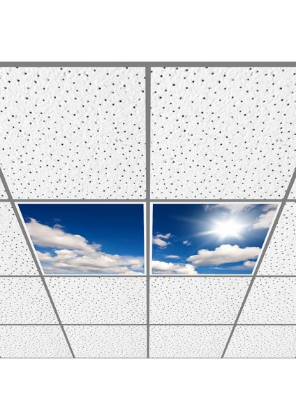 60X60 LED Panel Aydınlatma Armatür Avize Sıva Altı Desenli 1x2 Ikili Grup 46510933SA
