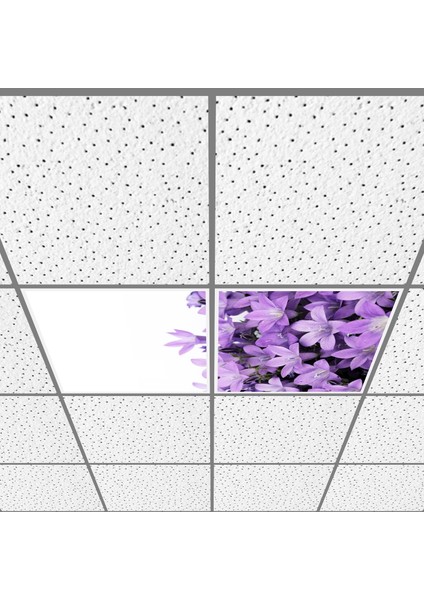 60X60 LED Panel Aydınlatma Armatür Avize Sıva Altı Desenli 1x2 Ikili Grup 46510730SA