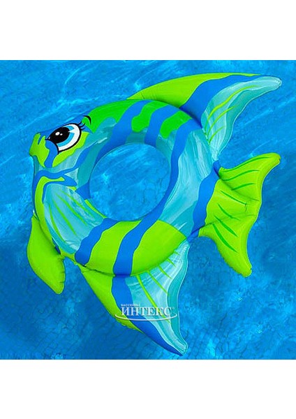 Balık Şekilli Şişme Deniz Simidi 3-6 Yaş - Intex Tropical Fish Swimming Rings