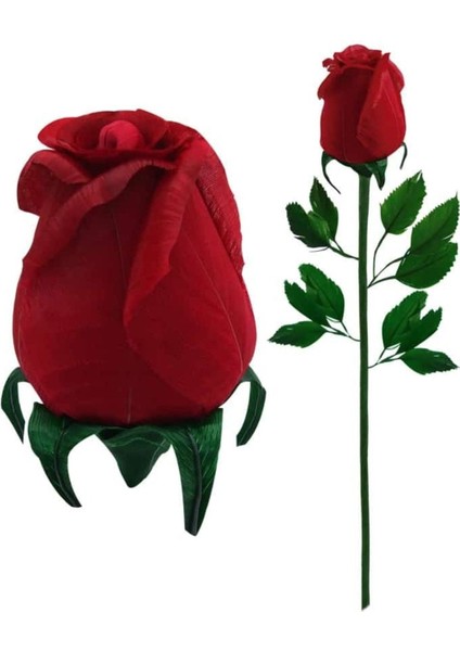 Kuş Tüyü Gül
