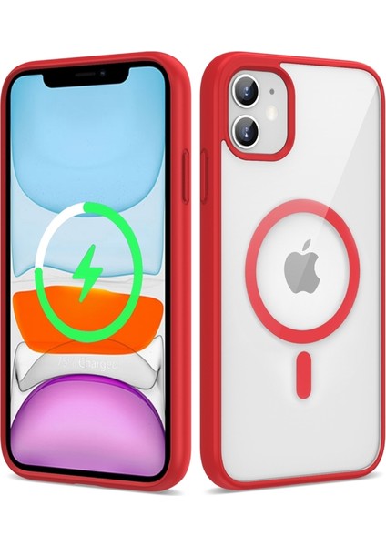 iPhone 11 Kılıf Magsafe Destekli ve Renkli Şık Ege Kapak