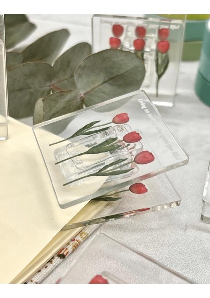 Şeffaf Pembe Lale Desenli Çok Fonksiyonlu Fotoğraf Klipsi/Fotoğraf Mandalı /Ataş / Kitap Ayracı fırsatları