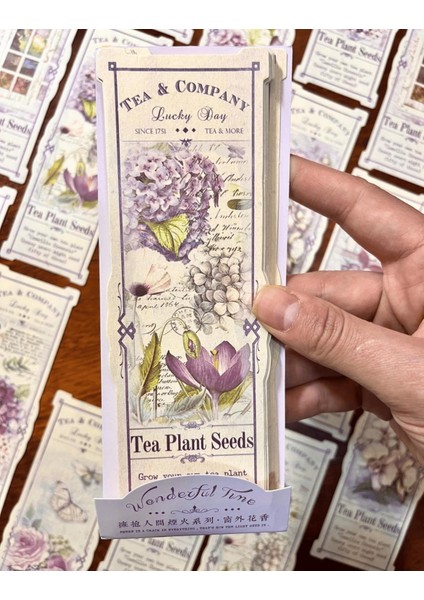 Wonderful Time Serisinden Tea Plant Seeds 24 Adet Renkli Desenli Scrapbook Kağıdı