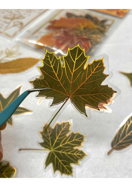 Nature Notes Series The Moment Of Fallıng Leaves 40 Adet Altın Yaldızlı Şeffaf Pet Sticker