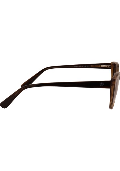 Güneş Gözlüğü LS8061 C3 fırsatları