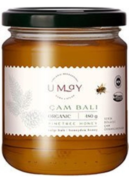 Organik Çam Balı 480 gr