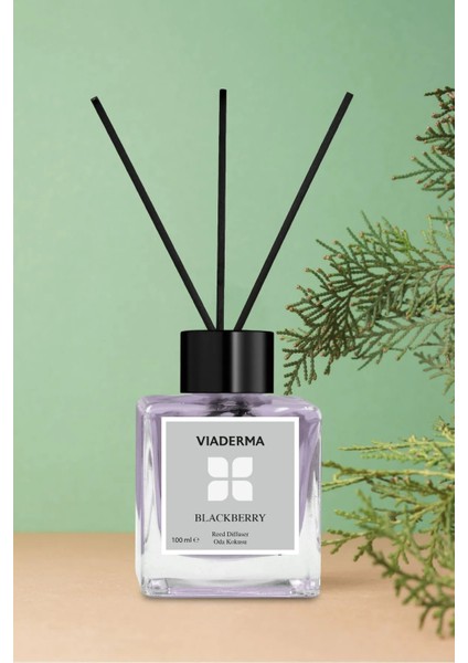 Kare Şişe Böğürtlen Esansı Bambu Çubuklu Oda Kokusu 100 ml