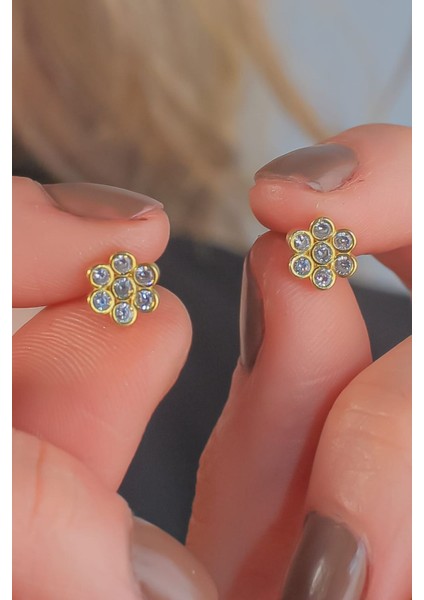 925 Ayar Gold Gümüş Çivili Küpe