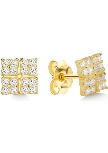 925 Ayar Gold Zirkon Taşlı Gümüş Küpe fırsatları