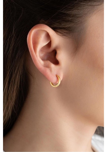 925 Ayar Gold Halka Gümüş Küpe fiyatları