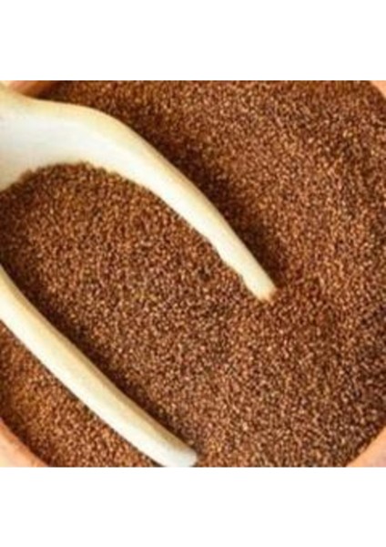 Esin Tohum Teff Grass Yazlık Sığır Otu Tohumu 5 kg