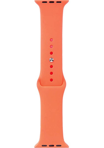 Apple Watch 40MM Uyumlu Band Serisi Klasik Kordon Silikon Strap Kayış, Pawpaw