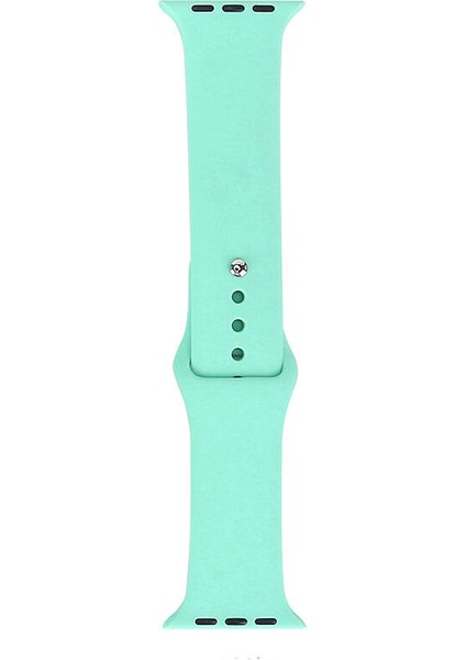 Apple Watch 42MM Uyumlu Band Serisi Klasik Kordon Silikon Strap Kayış, Bihai