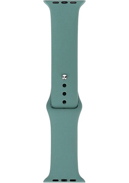 Apple Watch 44MM Uyumlu Band Serisi Klasik Kordon Silikon Strap Kayış, Cactus