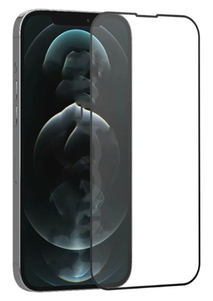 Apple iPhone 12 Mini Uyumlu Zore Rio Glass Cam Ekran Koruyucu