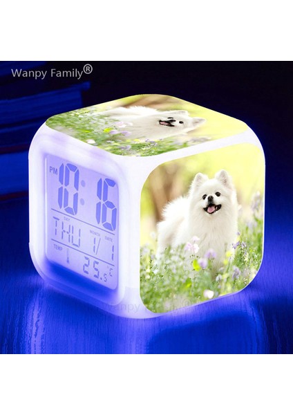 Yeşil Labrador Retriever 7 Renk Değiştiren LED Çalar Saat Çocuk Odası Uyanma Zamanlayıcısı Taşınabilir Masa Saati Evcil Köpek Çocuk Oyuncakları Hediyeler (Yurt Dışından) indirimleri