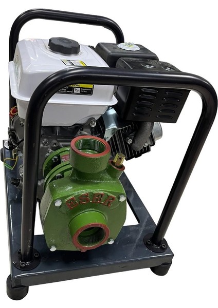 Gardenpro WP-20/165H Yüksek Basınçlı 3 Fanlı Su Motoru 165 mt 13 Hp