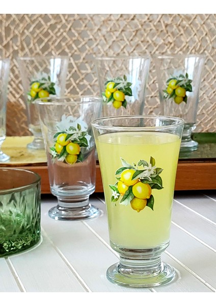 Regna Home Kahve Yanı Limonata Bardak Seti - Limon