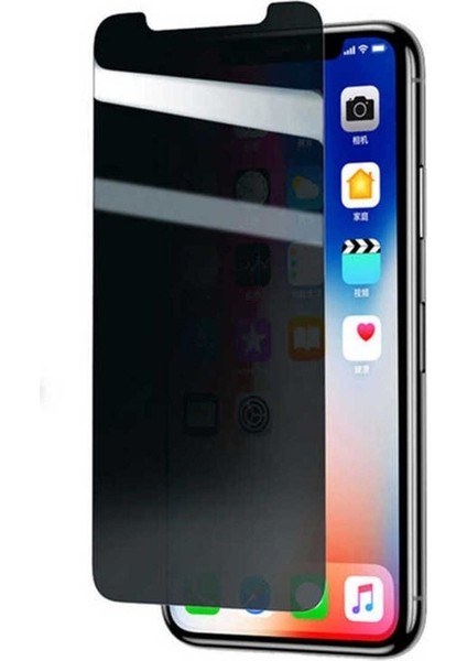 Apple iPhone x Uyumlu Zore Rika Premium Privacy Temperli Cam Ekran Koruyucu