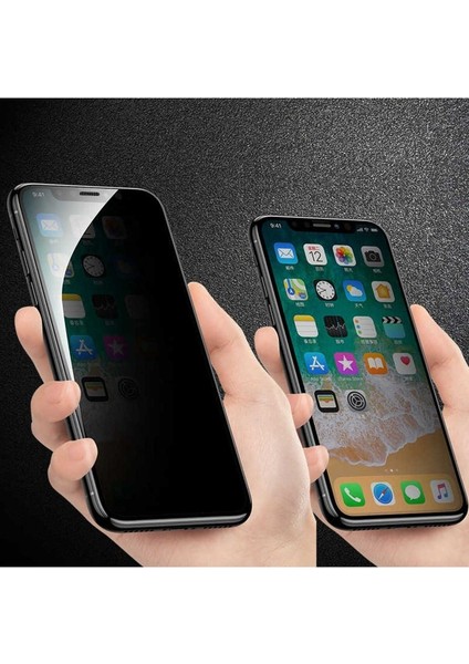 Apple iPhone x Uyumlu Zore Anti-Dust Mat Privacy Temperli Ekran Koruyucu