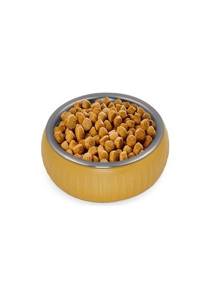 Mikopet Organik Seramik Mama Kabı Sarı modelleri