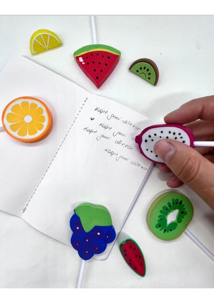 Ejder Silgi modelleri