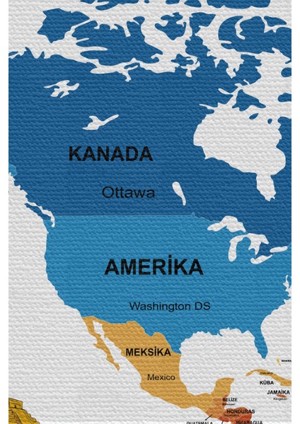 Duvar Örtüsü Bayrak Detaylı Türkçe Güncel Dünya Haritası Kanvas Duvar Halısı