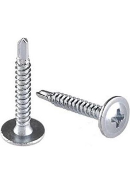 Rysb 4.8X19 mm 100 Adet Beyaz Pul Başlı Matkap Uçlu Vida Otomatik Vida