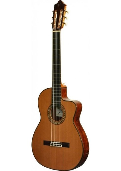NAC4-SHC Elektro Gitar