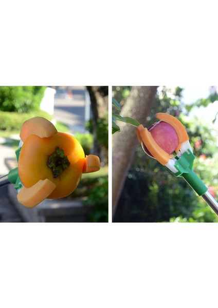 Yüksek Dal Meyve Toplama Aleti - 150 cm