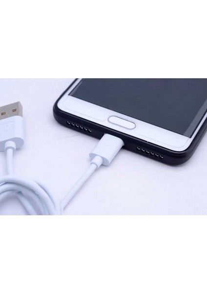 Gold Type-C USB Kablo Z-04