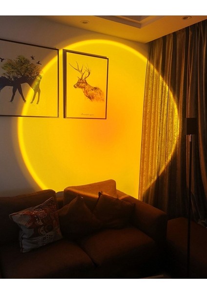 K160H Ayaklı Işık Kaynağı