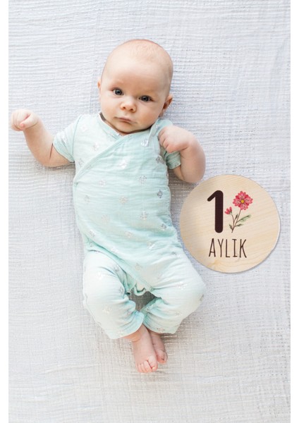Ahşap Anı Diskleri Bebek Fotoğraf Çekim Kartları fiyatları