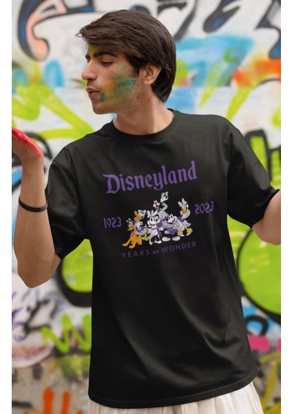 Unisex Disneyland Years Of Wonder Baskılı T-Shirt, Oversize Çizgi Film Baskılı Tişört fiyatları