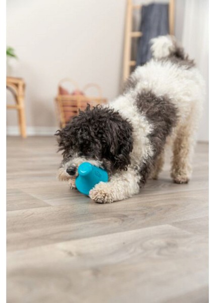 Naturel Kauçuk Köpek Oyuncağı Ödül Hazneli 12 cm