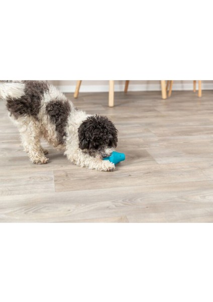 Naturel Kauçuk Köpek Oyuncağı Ödül Hazneli 12 cm