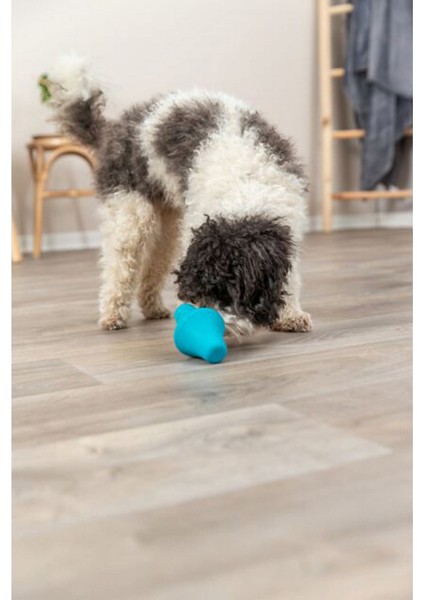 Naturel Kauçuk Köpek Oyuncağı Ödül Hazneli 12 cm
