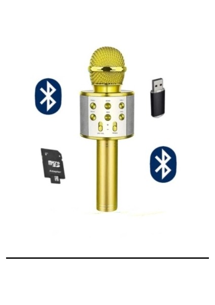 Bls-25 USB / Tf Kart / Aux Karaoke Mikrofon Bt
