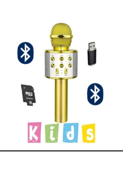 Bls-25 USB / Tf Kart / Aux Karaoke Mikrofon Bt