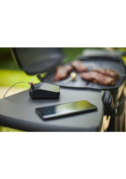 3202 Connect Akıllı Izgara Hub Dijital Barbekü Asistanı