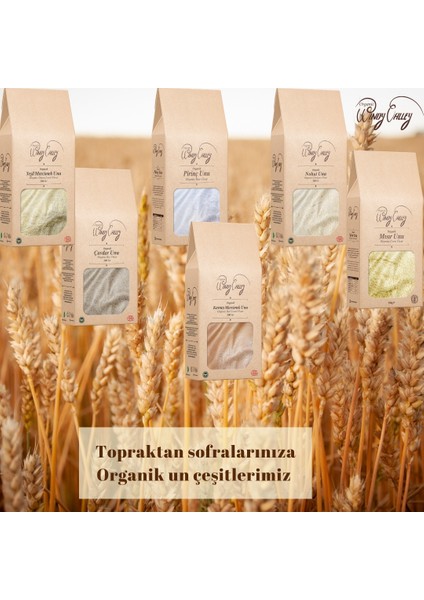 Organic Windy Valley Organik Glutensiz Nohut Unu Ecocert Sertifikalı Yerli Ürün 500 gr