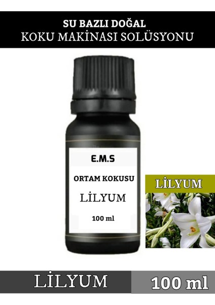 LİLYUM KÜRE KOKU MAKİNASI KOKUSU BUHURDANLIK KOKUSU DİFÜZÖR KOKUSU Hava Nemlendirici Kokusu .