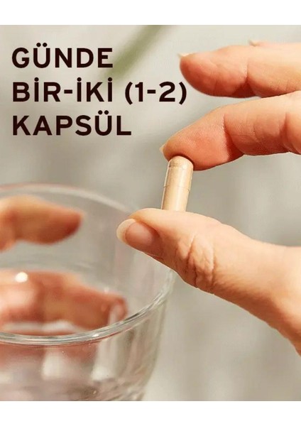 Reishi Shiitake Maytake Mantar Ekstresi Takviye Edici Gıda 50 Kapsül