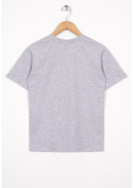 Los Angels Baskılı Gri Melanj Renk Erkek Çocuk Tshirt modelleri