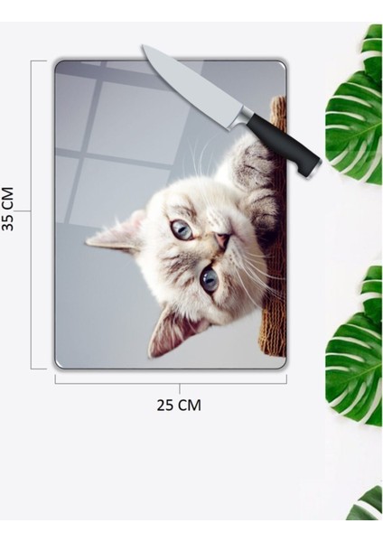 Sevimli Kedi Cam Kesme Tahtası 25 x 35 cm fiyatları