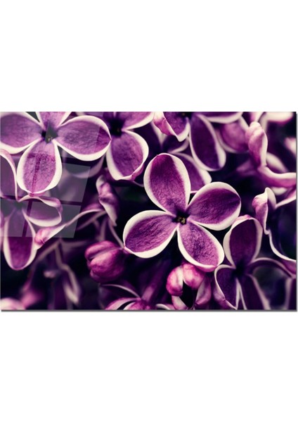 Baskılı Cam Kesme Tahtası |temperli Cam | 25 x 35 cm fiyatları