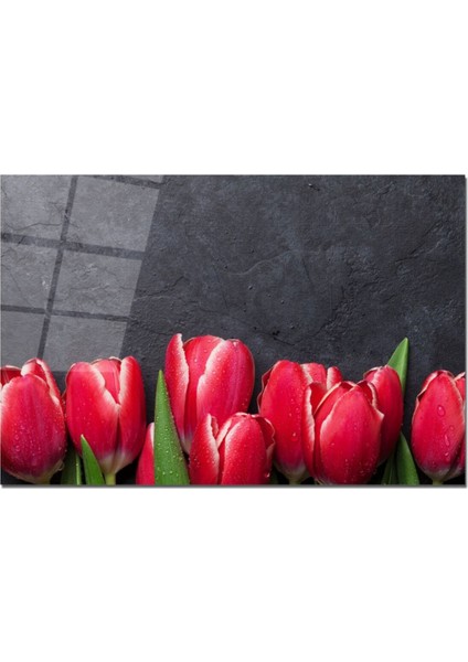Baskılı Cam Kesme Tahtası |temperli Cam | 25 x 35 cm fiyatları
