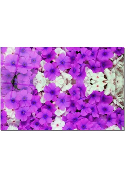 Baskılı Cam Kesme Tahtası |temperli Cam | 25 x 35 cm fiyatları