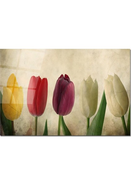 Baskılı Cam Kesme Tahtası |temperli Cam | 25 x 35 cm fiyatları
