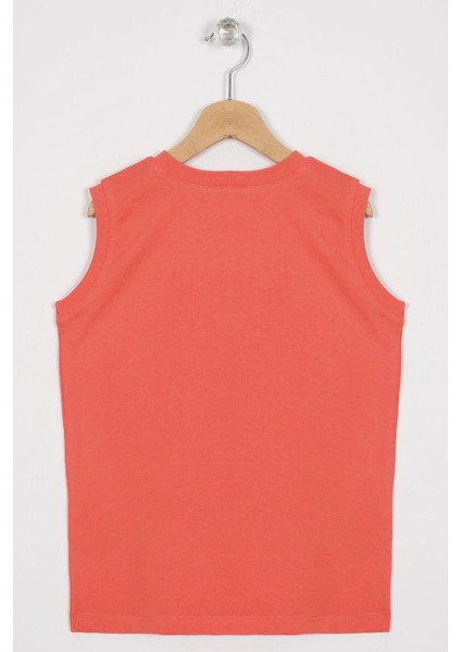 Sunset Baskılı Nar Çiçeği Renk Sıfır Kol Erkek Çocuk Tshirt modelleri